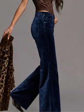 Citizens of Humanity Paloma Velvet Baggy Wide Leg Jeans Size Navy Luxe Y2K - 25
